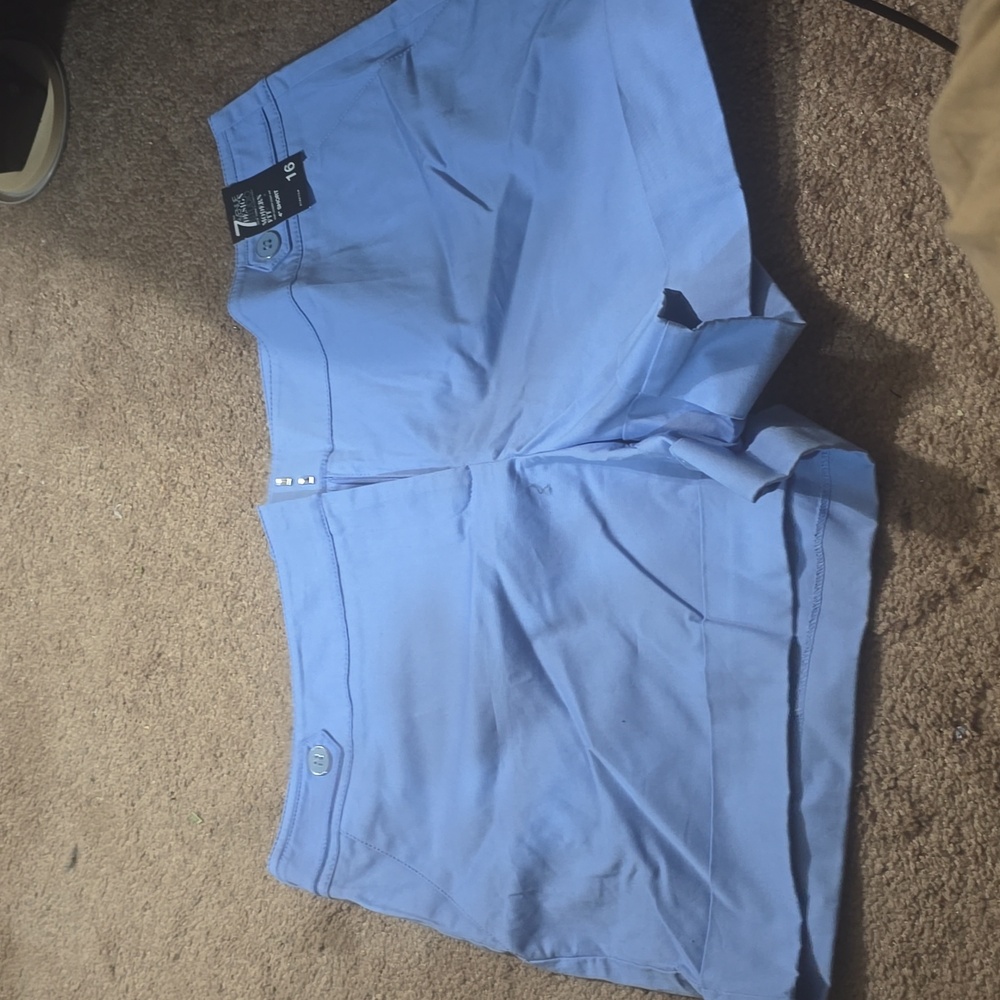 Elegant Light Blue Women's Shorts